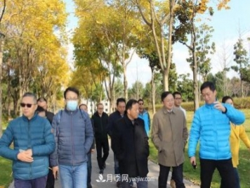 提升城市园林绿化，苏州向上海学什么？
